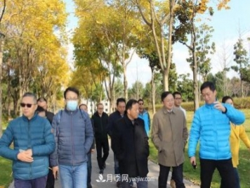 提升城市园林绿化，苏州向上海学什么？
